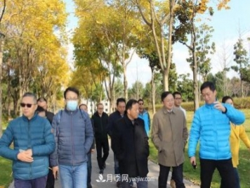 提升城市园林绿化，苏州向上海学什么？
